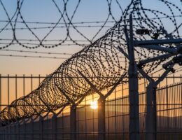 Papiruldens skjulte fordele: Mere end bare isolering