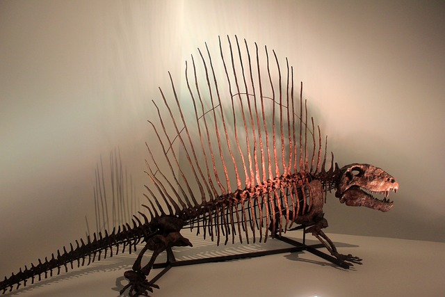 Fra fortid til nutid: Dinosaur Kasket bringer de præhistoriske væsener tilbage i modeverdenen