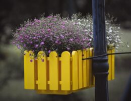 Få grønne fingre med en plantekasse fra vidaXL